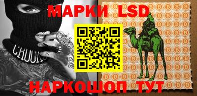 винт Донской