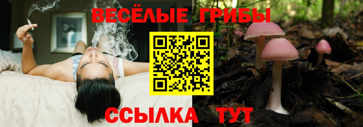 Псилоцибиновые грибы мухоморы Бирск